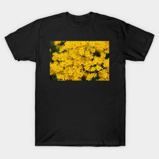 Yellow daisies T-Shirt